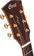 Gold A10 Cocobolo Naturel Brillant