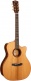 Gold A10 Cocobolo Naturel Brillant