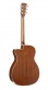 Luce L100OCF Cedar Black Satin