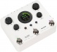 Looper MOOER GL20
