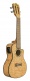 Maple Qm-Nacec Concert