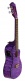 Maple Qm-Pucec Concert
