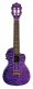 Maple Qm-Pucec Concert