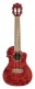 Maple Qm-Rdcec Concert