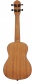 Rfeu-4 Sapele Tree Of Life