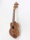 Rfeu-4 Sapele Tree Of Life
