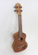 Rfeu-4 Sapele Tree Of Life