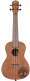 Rfeu-4 Sapele Tree Of Life