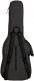 Double Electric Gigbag Gray