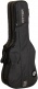 Double Electric Gigbag Gray