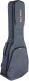 GR3 Classical 4/4 Gray Gigbag