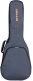 GR3 Classical 4/4 Gray Gigbag