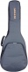 GR3 Dreadnought Gray Gigbag