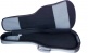 GR3 Electric Gray Gigbag