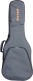 GR3 Electric Gray Gigbag