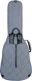 GR4 Classical 4/4 Gray Gigbag