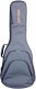 GR4 Classical 4/4 Gray Gigbag