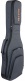 GR4 Electric Gray Gigbag