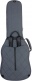 GR4 Electric Gray Gigbag