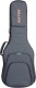 GR4 Electric Gray Gigbag