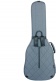 GR4 Auditorium Gray Gigbag