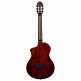 Tourplayer Std Ny Nat