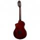 Tourplayer Std Ny Nat