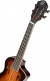 Ukulele Tenor Touplayer Acacia