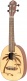 Ukulele Concert Ortega Plamier Epicea