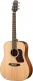 DREADNOUGHT D550EW