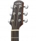 GUITARE WALDEN ORCHESTRA O550EW