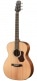 GUITARE WALDEN ORCHESTRA O550EW