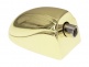 L20SDTT-BR SPANNBOCKCHEN SNAREDRUM TOM GOLDFARBENE 25MM X1