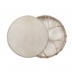 Shaman Drum Goat 16
