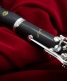 SIGNATURE Bb (442) EVOLUTION 