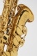 ALTO - SUPREME DGG - DARK GOLD ENGRAVED