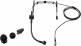 SM39-LM3