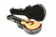 GSM - Taylor GS Mini Acoustic Case