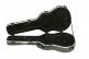GSM - Taylor GS Mini Acoustic Case