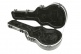 GSM - Taylor GS Mini Acoustic Case