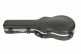 GSM - Taylor GS Mini Acoustic Case
