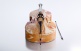 Soliste BDS.1130 Double Bass