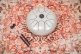 MEINL SONIC ENERGY STEEL TONGUE DRUM, G MINOR, PEARL GREY