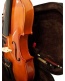 STUDENT STANDARD VIOLIN 3/4