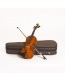 STUDENT STANDARD VIOLIN 3/4