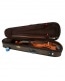 STUDENT STANDARD VIOLIN 3/4