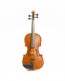 STUDENT STANDARD VIOLIN 3/4