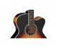 Gb72Cebsb Sunburst