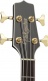 Gb72Cebsb Sunburst
