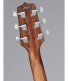 Gf30Ce Brown Sunburst